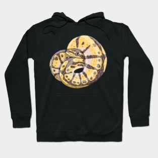 8bit bumblebee ball python Hoodie